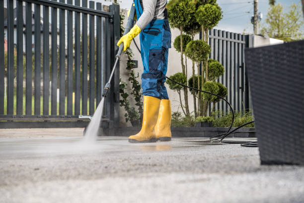 Best Building Exterior Washing  in St Paul, TX